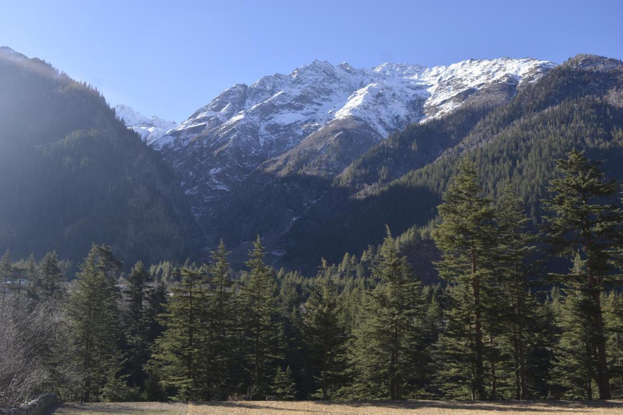 Toshim Homestay Sangla ภายนอก รูปภาพ
